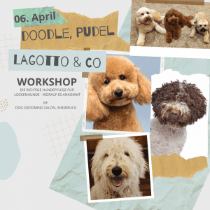 Workshop im Hundesalon Veranstaltung am 6. April 2024 für Lockenhunde wie Pudel, Doodle, Portugiesischer Wasserhund, Lagotto Romagnolo....