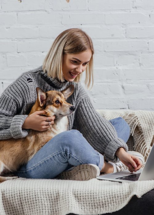 smiling young blonde woman sitting with welsh corgi dog on sofa and using laptop